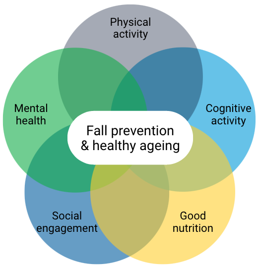 The importance of healthy ageing – NSW Fall Prevention and Healthy Ageing  Network